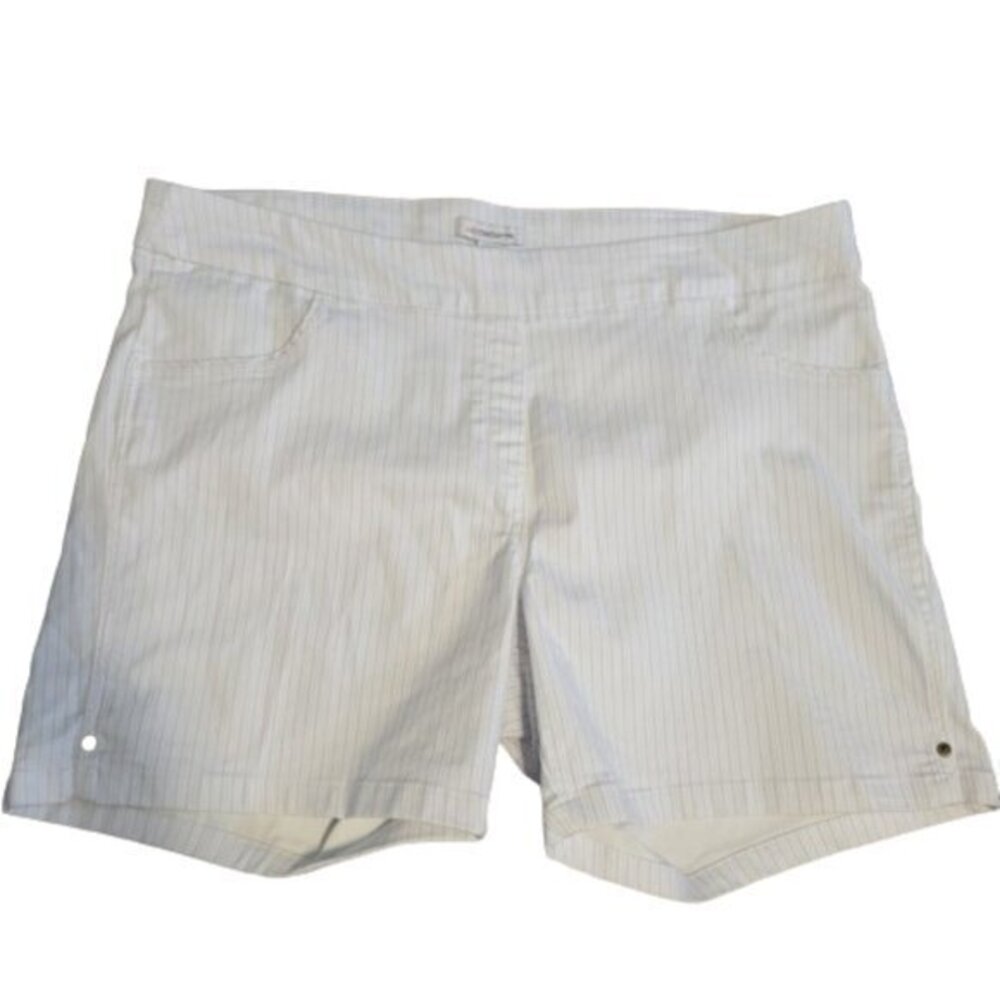 CLEARANCE Liz Claiborne Blue and White Striped Shorts Plus Size 22W